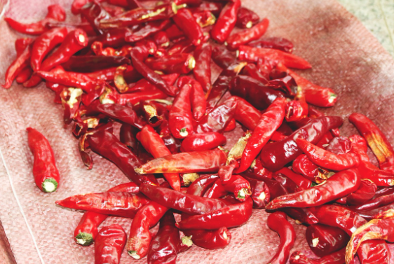 2023 추석지원금