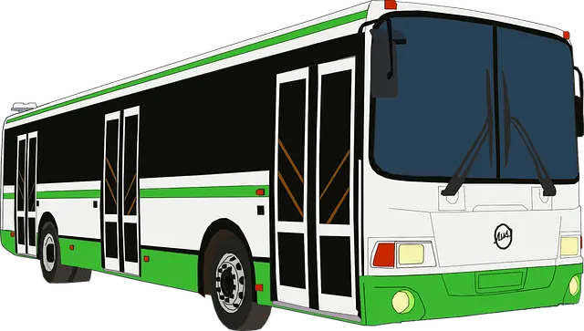 버스
