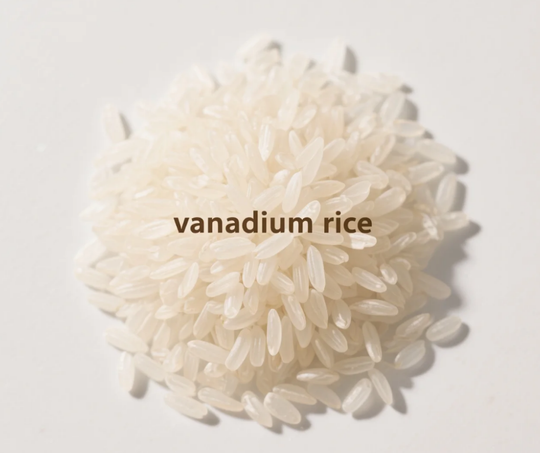 바나듐 쌀