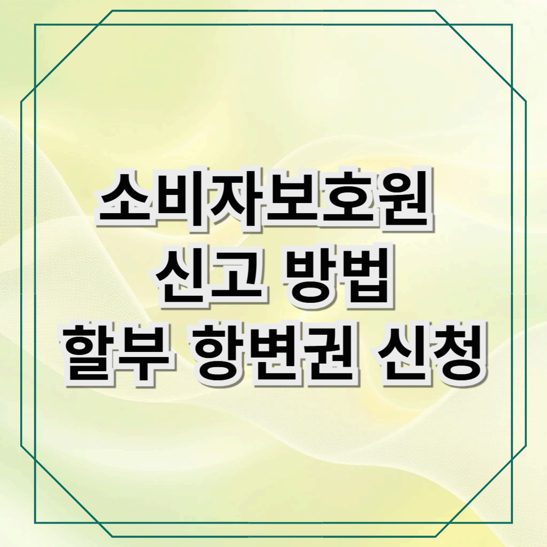 [요가 환불] 소비자 보호원 신고 &amp; 카드사 할부 항변권 신청으로 해결하는 법!