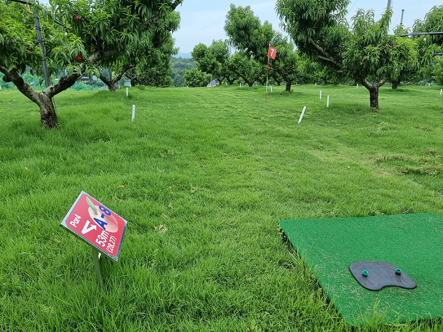 경상북도 경산 일월파크골프장 (일월 피닉스파크골프클럽) 소개