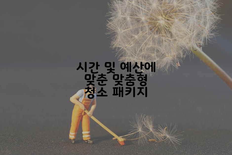 시간 및 예산에 맞춘 맞춤형 청소 패키지