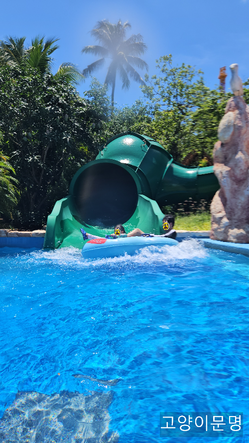 키즈 슬라이드들 - 총 3개가 있다.