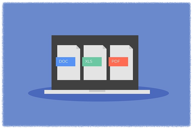 PDF가 문서 포맷의 대표인 이유 안내