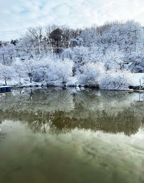 하마캠핑장