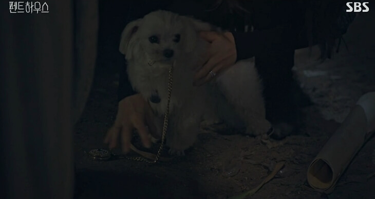 펜트하우스주혜인10