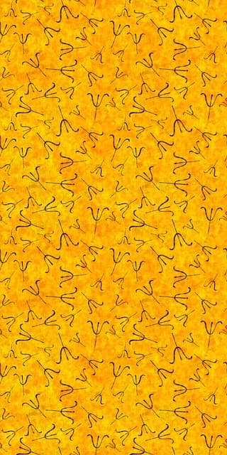 자기효능감 바이오해킹(Self-Efficacy Biohacking) – 뇌의 신경회로를 조작해 자신감을 높이는 법