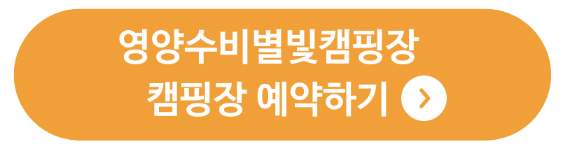 영양수비별빛캠핑장 관련 사진