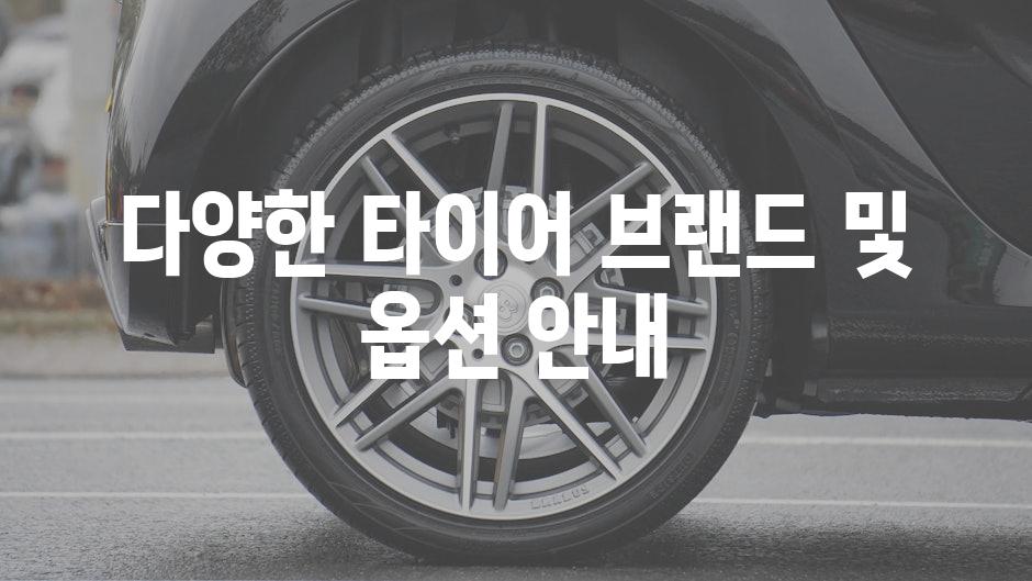 다양한 타이어 브랜드 및 옵션 안내