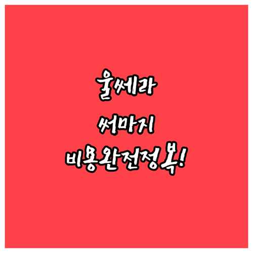 리프팅 시술 울쎄라 써마지 비용과 나..