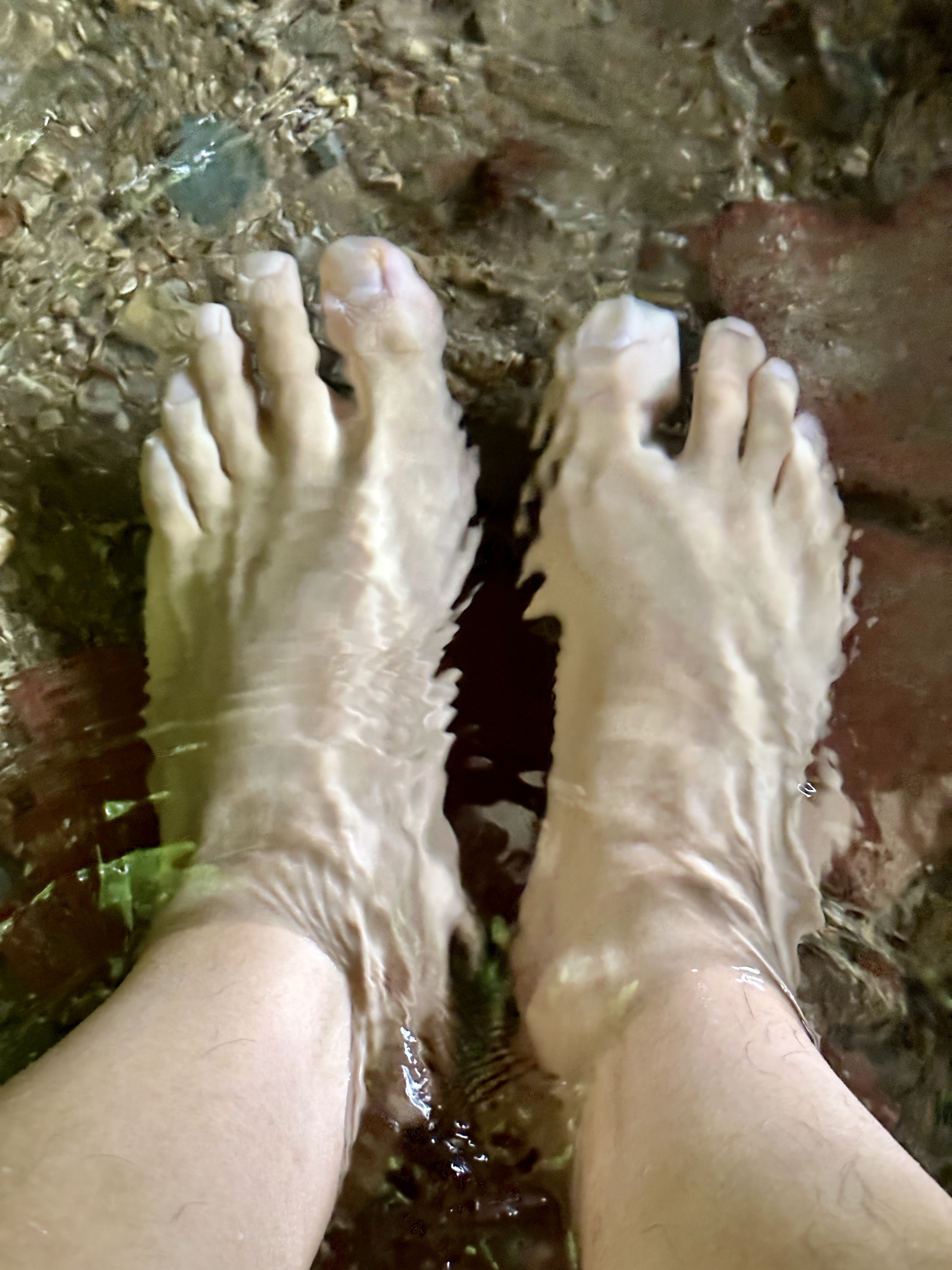 물에 발 담그고 먹는 식당