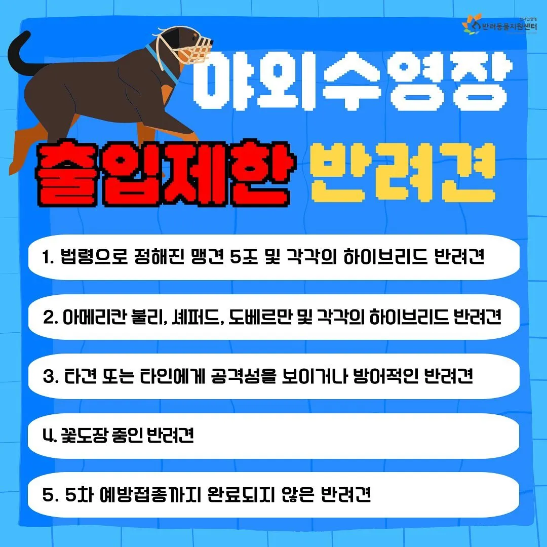 밀양 강아지 수영장