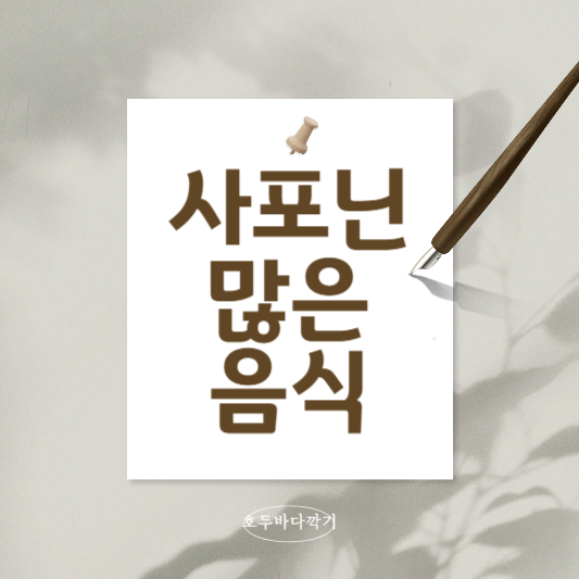 사포닌많은음식