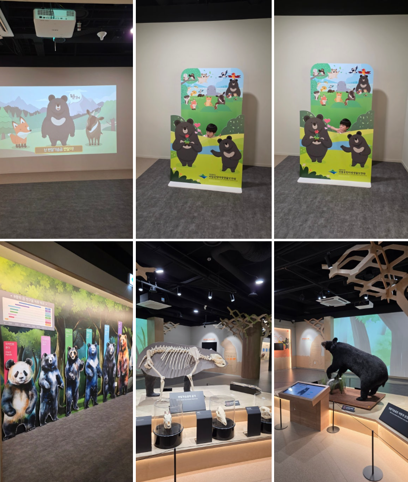 국립공원야생생물보전원 남부보전센터 반달가슴곰 탐방 후기 (우리의 친구 반달가슴곰을 만나요)