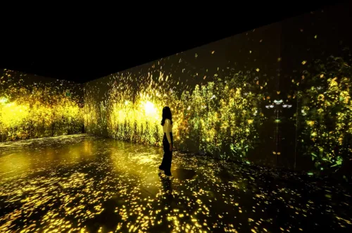 제주 아르떼뮤지엄 미디어아트 사진 명소 (실내 데이트 코스)