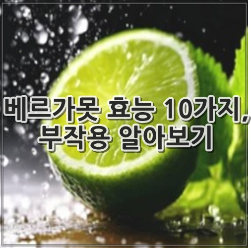 베르가못 효능, 부작용 알아보기