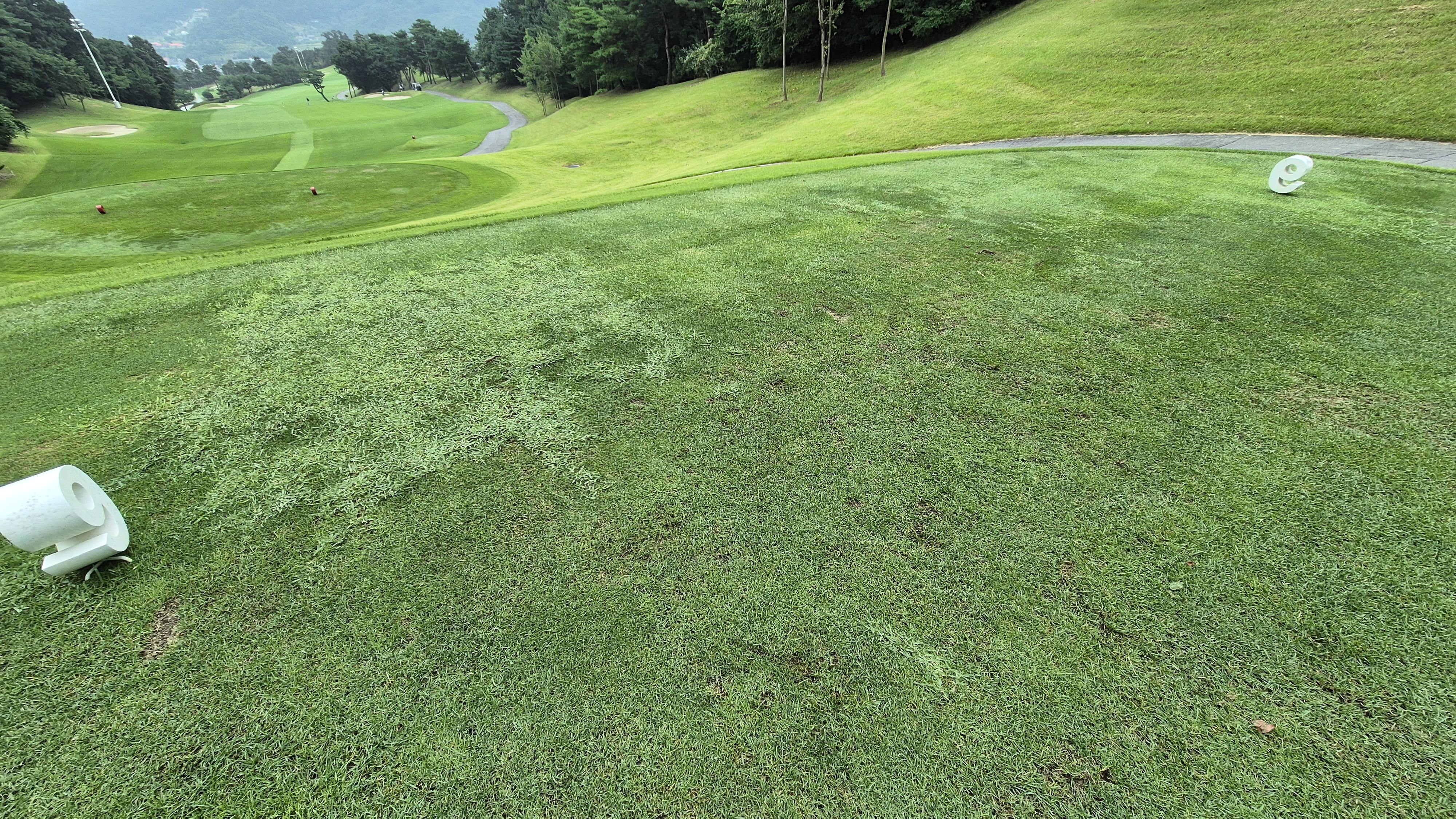 골프존카운티 진천