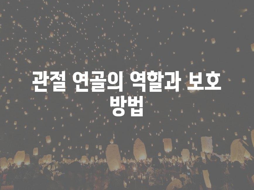 샘플 (17)