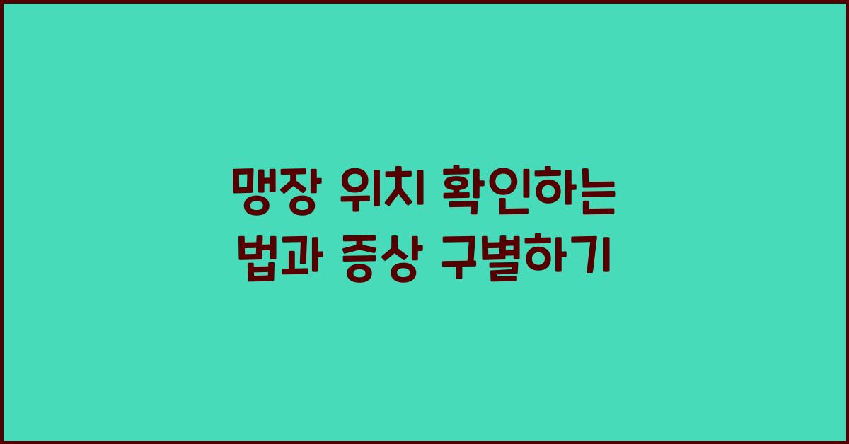 맹장 위치