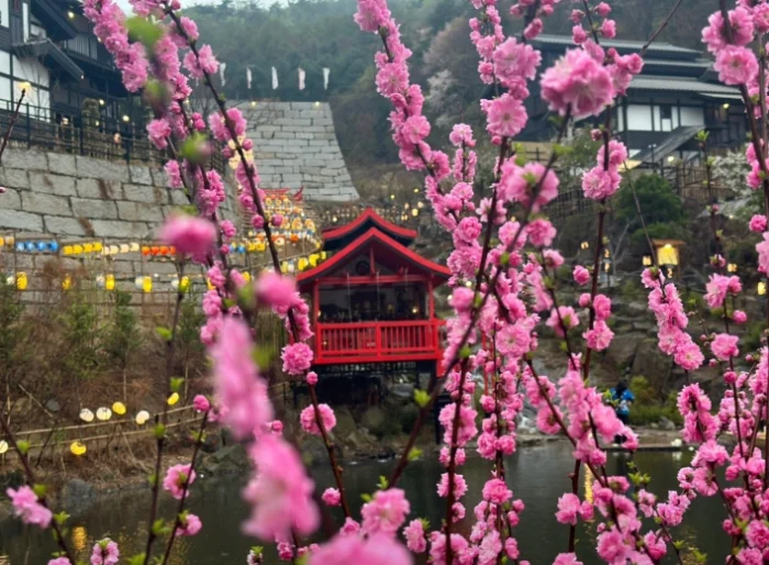 니지모리스튜디오-동두천-생생정보마당