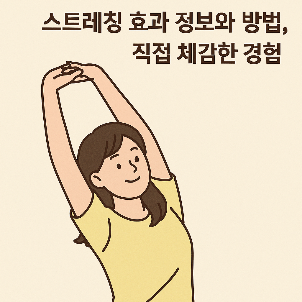 스트레칭 효과 정보와 방법