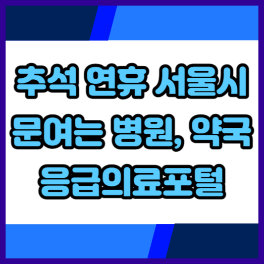추석연휴-서울시-문여는병원-약국-응급의료포털