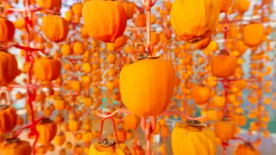 추석에 먹는 맛있는 곶감