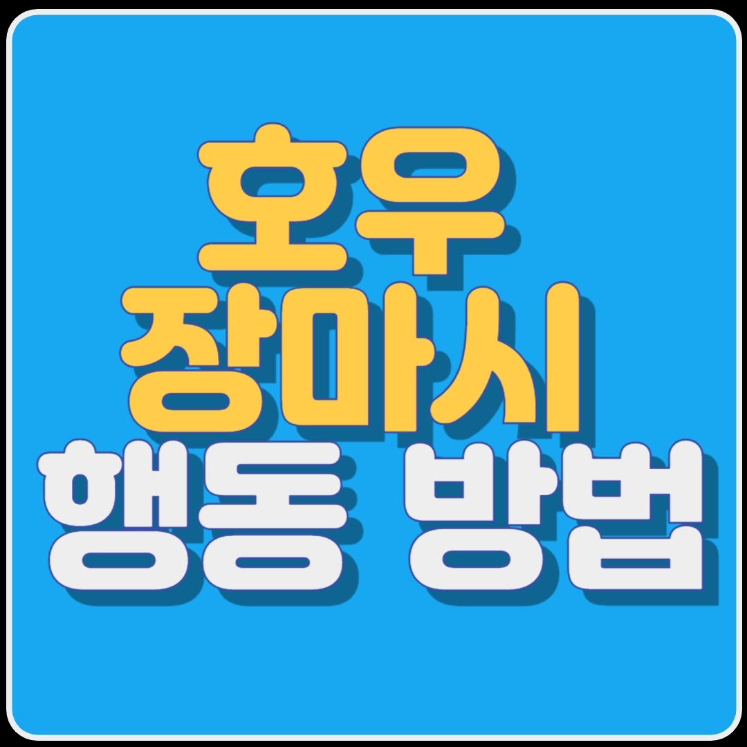 호우 장마시 행동 방법