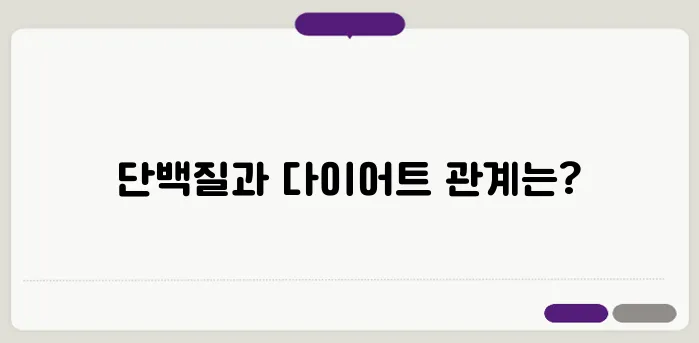 단백질 많이 먹으면 살 빠질까? 다이어트 성공 vs. 실패 차이