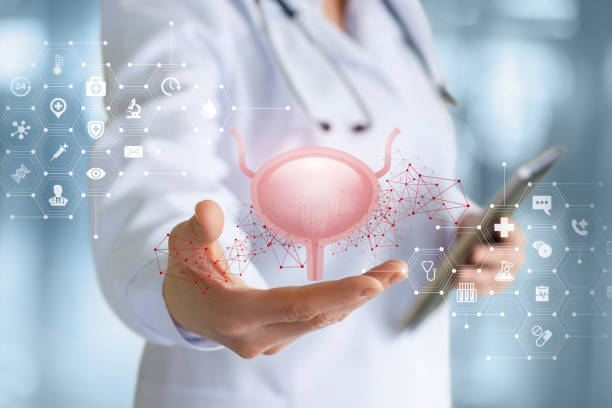 방광염에 좋은 음식 5가지 염증 완화와 면역 회복 식단 가이드