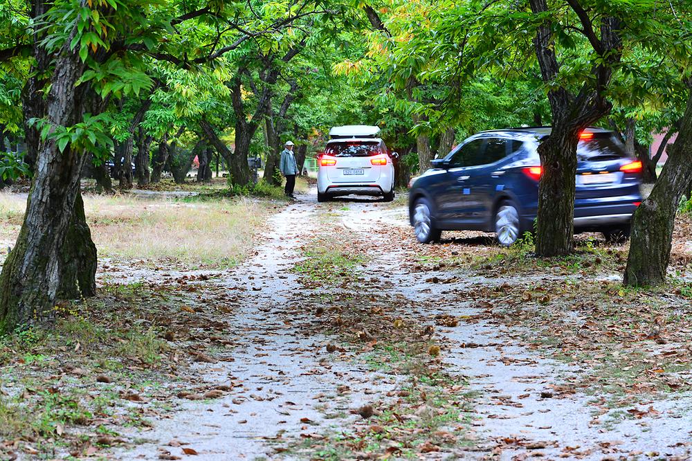 가평 '무지개 서는 마을' 캠핑장 소개