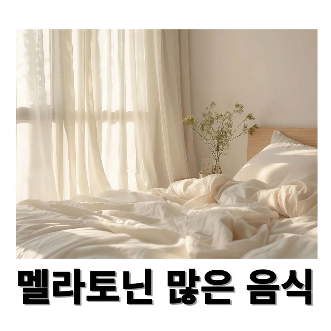 멜라토닌과 관련된 사진입니다.