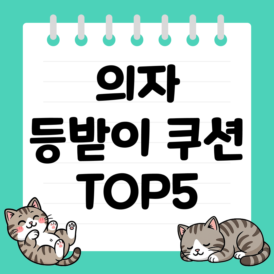 장시간 앉아 있어도 편안한 의자 등받이 쿠션 추천 TOP5