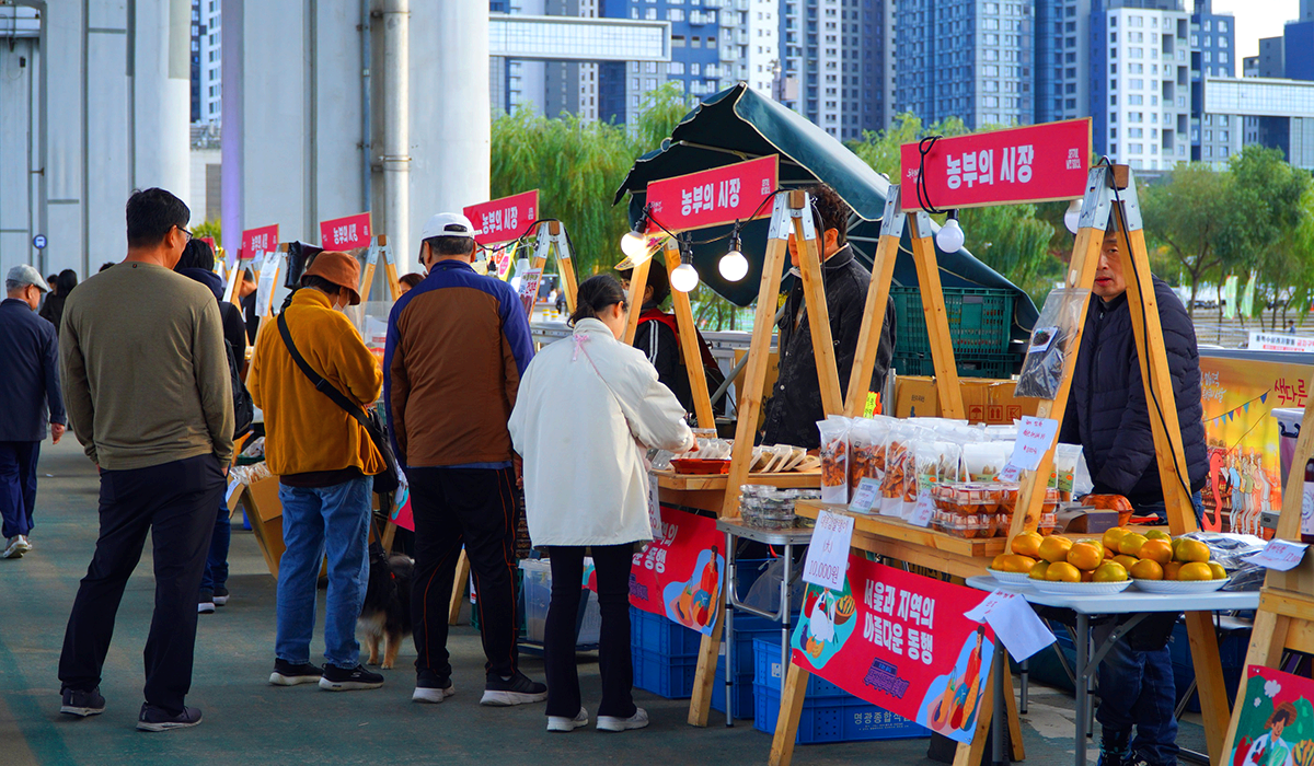 차 없는 잠수교 뚜벅뚜벅축제