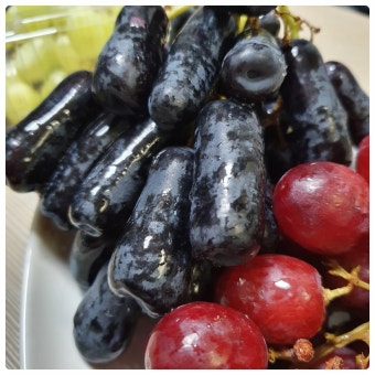 8월 제철음식 블랙사파이어