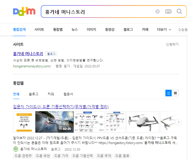 다음에서 내 블로그 글이 노출이 안됨