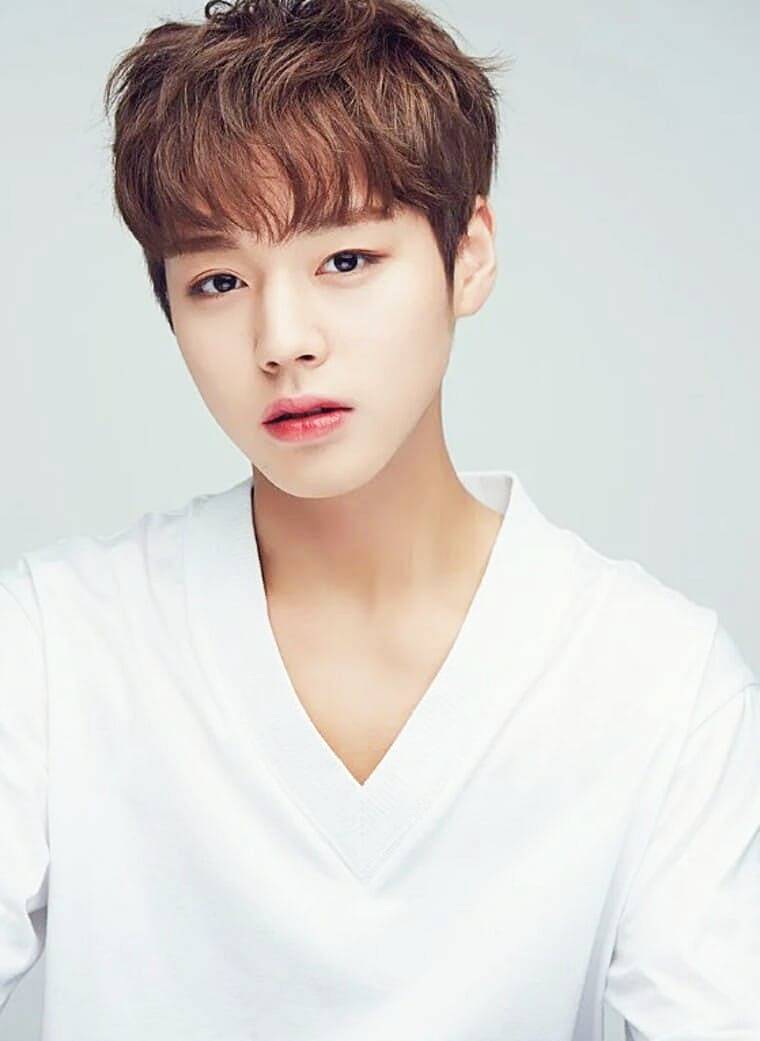 배우-박지훈