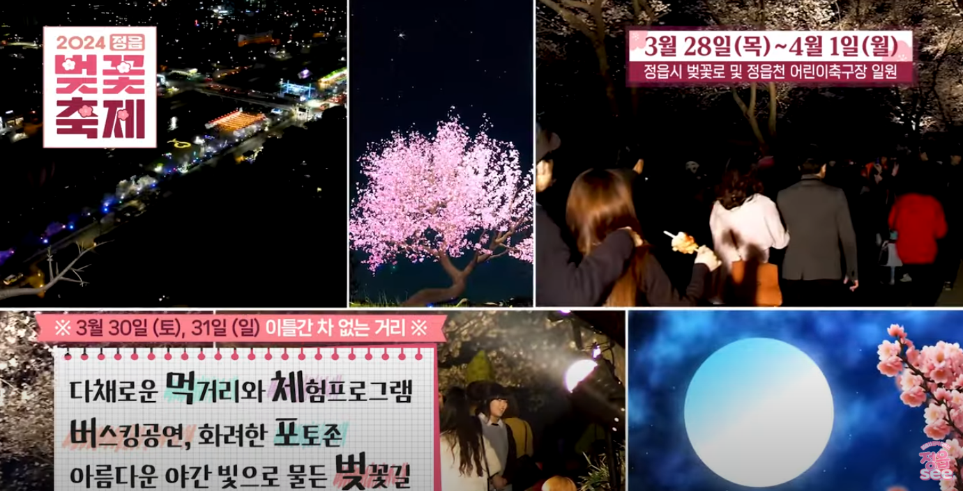 2024 정읍 벚꽃 축제