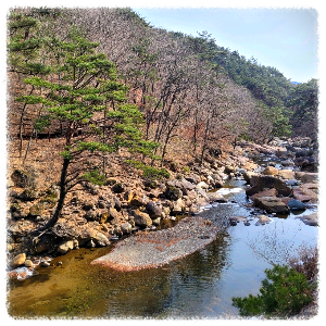 대원사계곡
