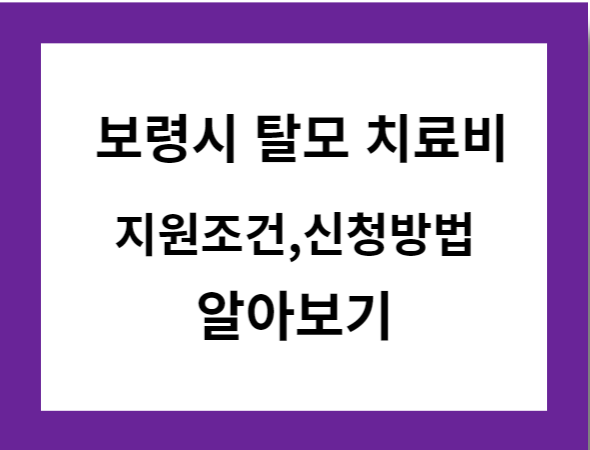 보령시-탈모-치료비-지원조건-신청방법-알아보기