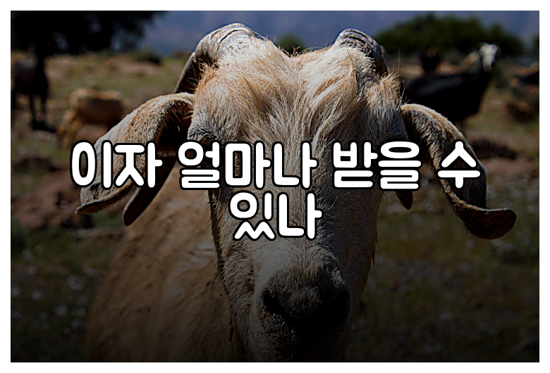 이자 얼마나 받을 수 있나