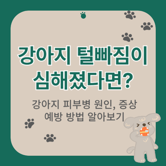 강아지 피부병