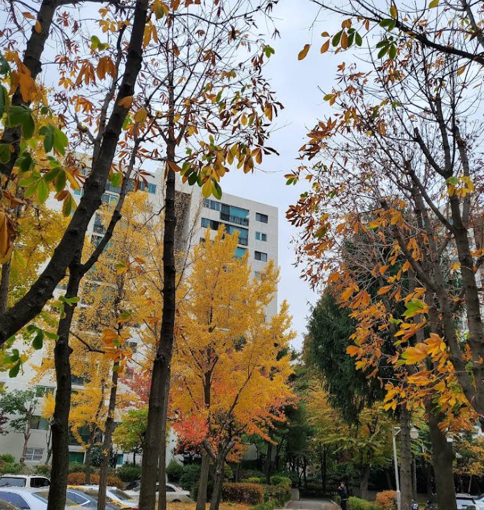 목동 6단지, 조합직접설립제도로 재건축 속도 ‘급가속’