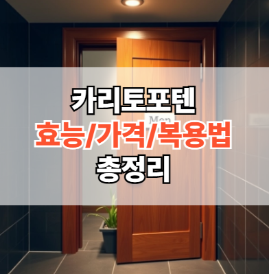 카리토포텐-효능-가격-복용법