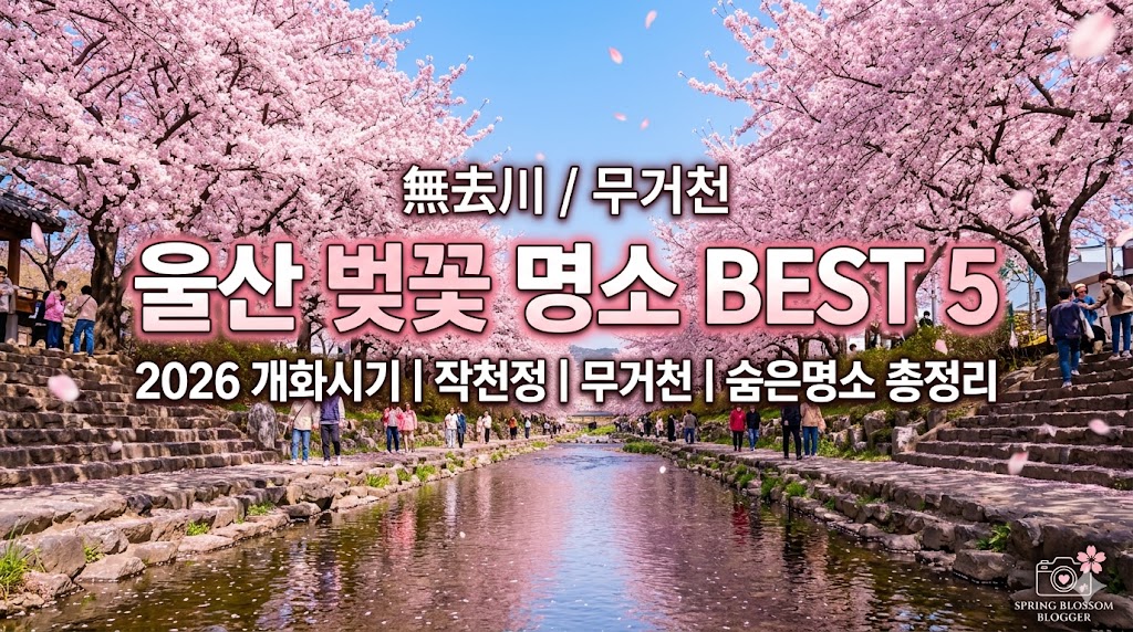 울산 벚꽃 명소