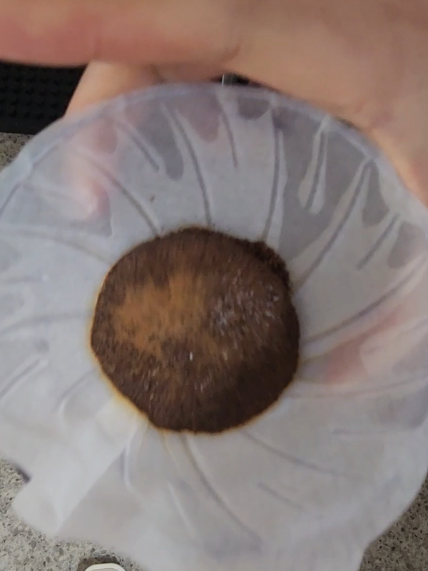 뜸 들이기 한 드리퍼를 손으로 스월링 하는 중