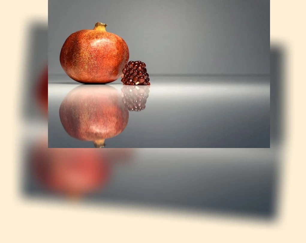 항산화_1_subsection