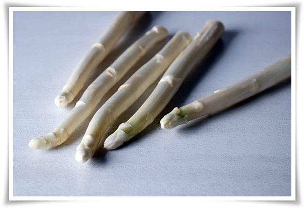 텃밭 &quot;아스파라거스 기르기&quot; 한 번 심으면 10년 동안 거두는 황금 채소!