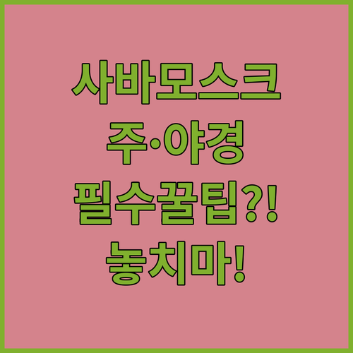 코타키나발루 사바주립모스크 주경 야경..