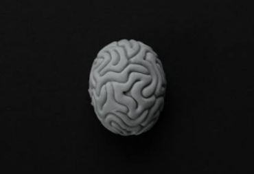 뉴럴링크가 최초의 인간 실험을 성공적으로 진행하면서 머스크의 비전은 현실로 다가왔다